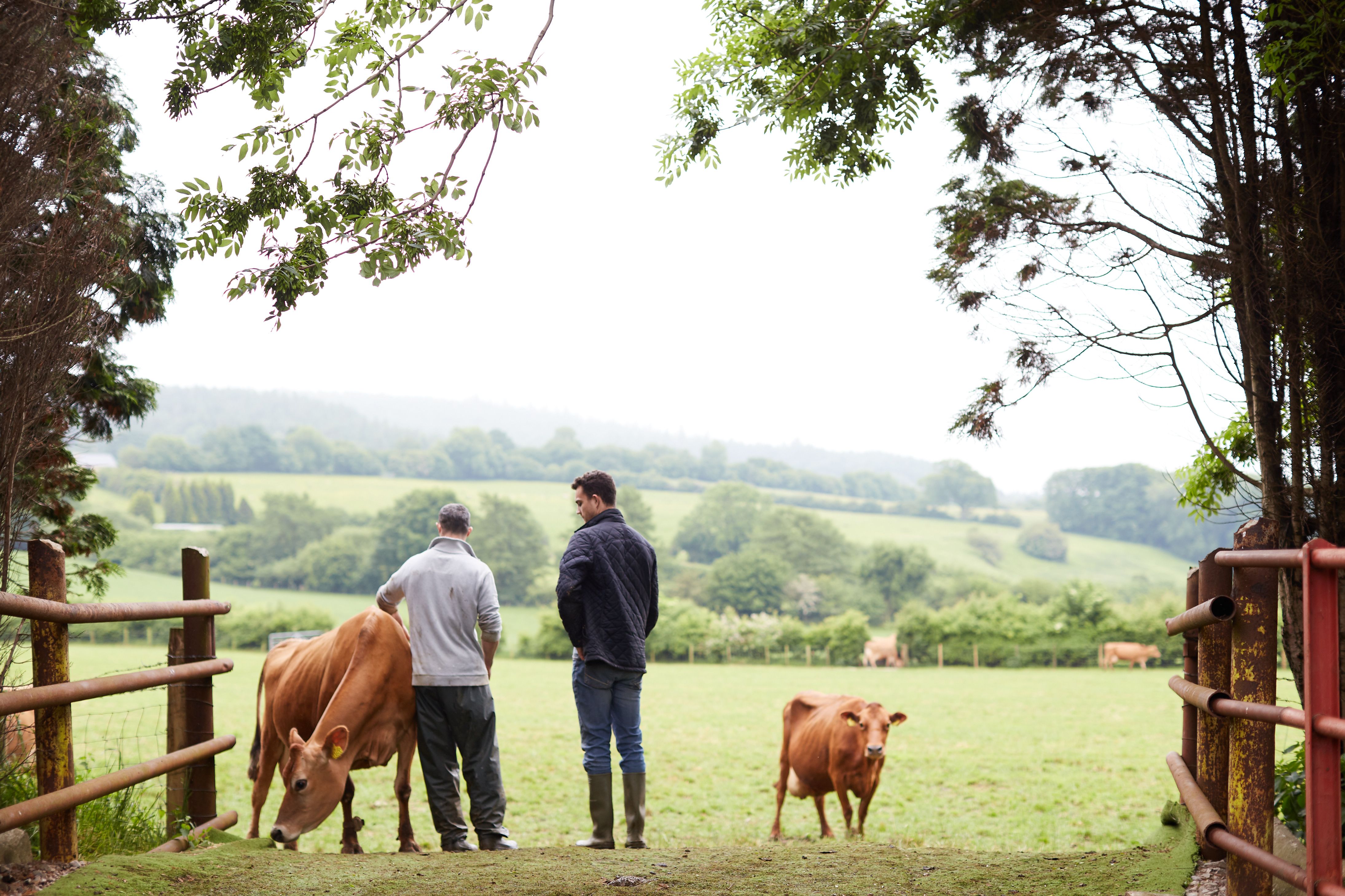 COFFEE SHOP MILK SPECIALIST BRADES FARM SECURES FUNDING FOR GROWTH