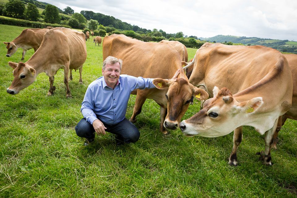 Burping Cows Get the Green Light to Join Carbon-Offset Market