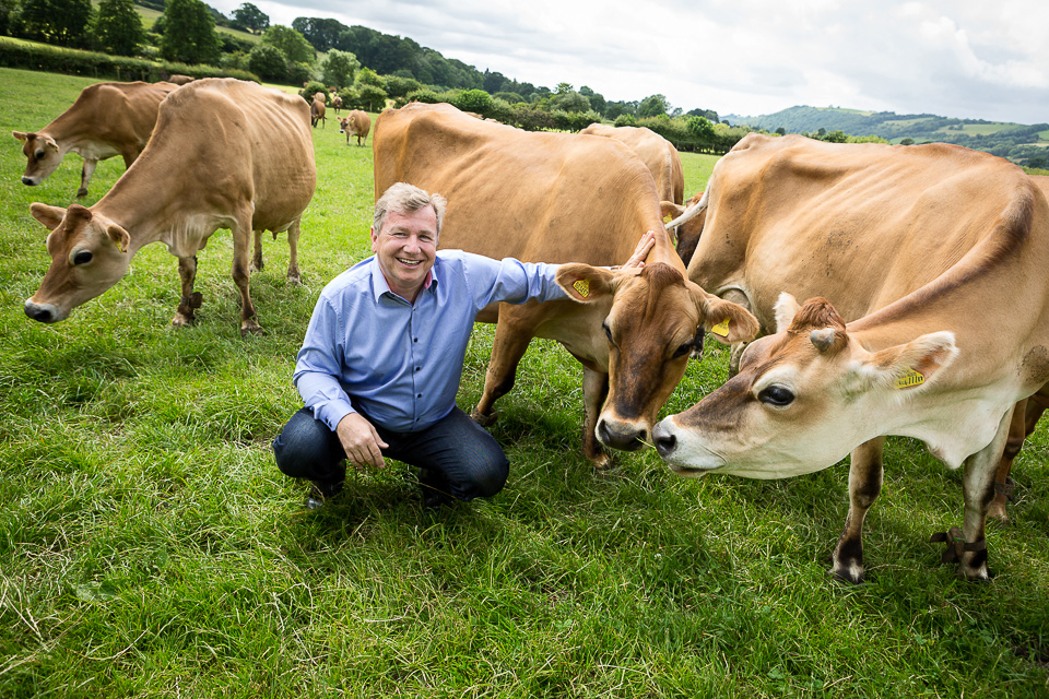 Cows Join Carbon Market in Quest to Curb Planet-Warming Burps
